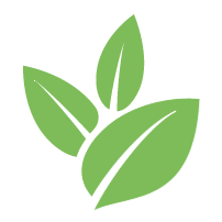 Buzz Tree Moving Service
