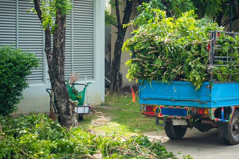 Tree Moving Service