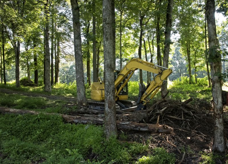 Bushes Clearing in Gwinnett County, GA