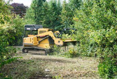 Lake Lot Clearing in Gwinnett County, GA