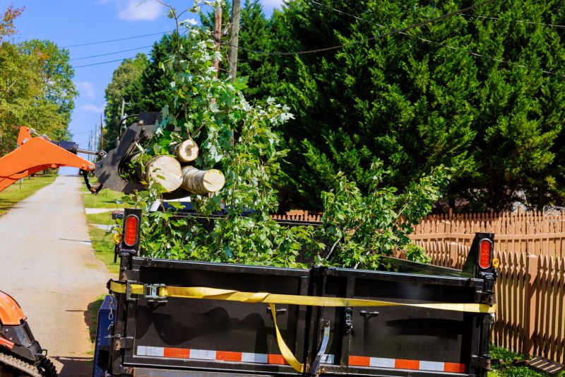 Tree Moving Service